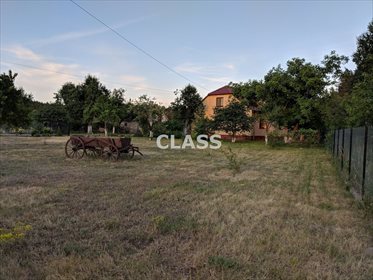 Dom na sprzedaż Dragacz, Stare Marzy 300m2 Foto 5