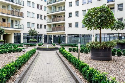 Na wynajem przestronne mieszkanie 42,7 m² w centrum Poznania mieszkanie Poznań, Stare Miasto, Garbary