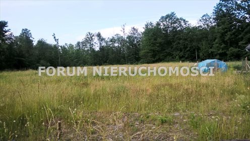 Działka budowlana na sprzedaż Twardorzeczka 8 189m2 Foto 4