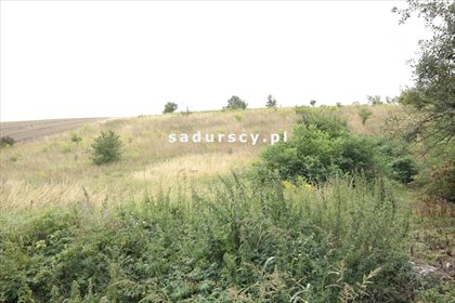 Działka budowlana na sprzedaż Prandocin-Iły 5 000m2 Foto 1