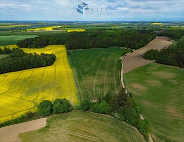 Kompleks rolny 25,74 ha, pełna orka, wysokie plony działka Rudno