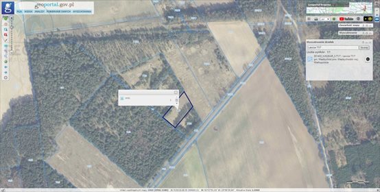Działka rolna na sprzedaż Lewice 3 500m2 Foto 1