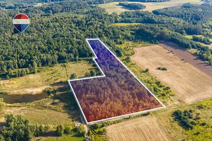 Do sprzedania działka leśna 29 600 m² w Bukowinie Sycowskiej działka Bukowina Sycowska