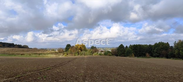 działka na sprzedaż 4189m2 działka Łańcut