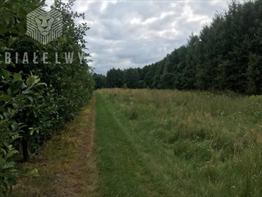 Działka siedliskowa na sprzedaż Ługowice 33 800m2 Foto 7