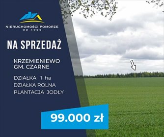 działka na sprzedaż 10000m2 działka Krzemieniewo
