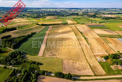 Działka rolna 53 000 m² z bezpośrednim dojazdem zapraszam działka Grębocin