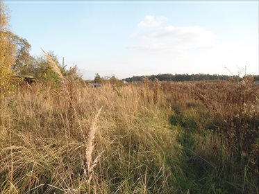 Działka budowlana na sprzedaż Robakowo, Kórnik 3 340m2 Foto 6