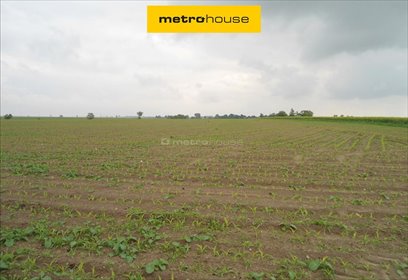 działka na sprzedaż 25565m2 działka Czarne Piątkowo