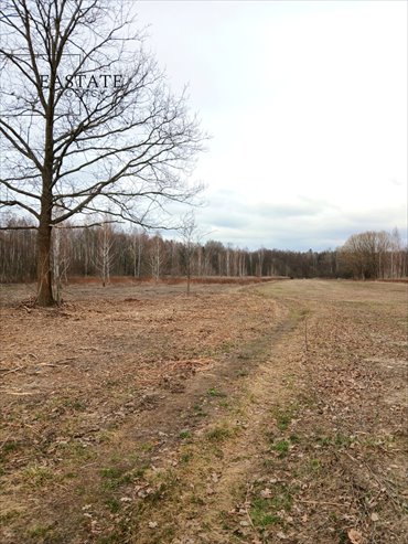 działka na sprzedaż 10047m2 działka Koryta, Północna