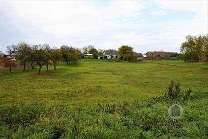 Działka 3002 m2 z warunkami zabudowy - Sokólsko działka Sokólsko