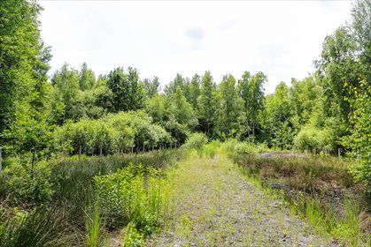 działka na sprzedaż 6000m2 działka Bielcza