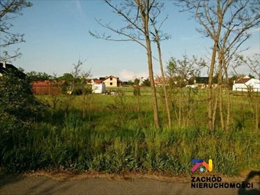 działka na sprzedaż 1100m2 działka Łagodzin