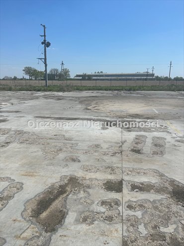 działka na sprzedaż 10000m2 działka Trzeciewiec