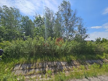 Działka rekreacyjna 844 m² z mediami w Jakubowicach Konińskich polecam! działka Jakubowice Konińskie