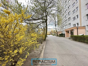 Przestronne 2-pokojowe mieszkanie z balkonem i widokiem mieszkanie Toruń, Świętopełka