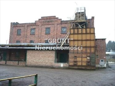 Lokal użytkowy na sprzedaż Białośliwie 2 190m2 Foto 1