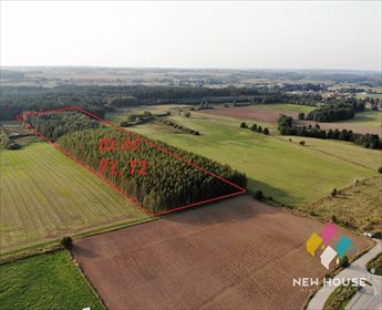 Działka leśna na sprzedaż Barcikowo 41 800m2 Foto 7