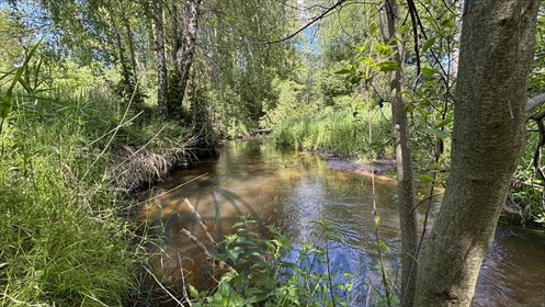 działka na sprzedaż 13081m2 działka Chociszew