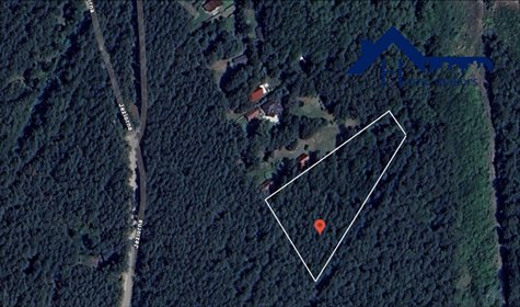 Zapraszam do zakupu działek leśnych 6 531 m² w Grabinie działka Grabina