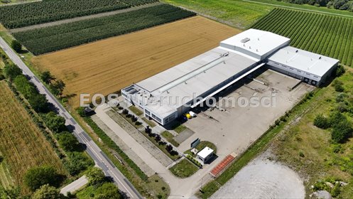 lokal użytkowy na sprzedaż 7767m2 lokal użytkowy Piotrawin