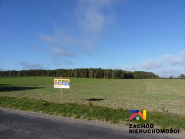 działka na sprzedaż 12700m2 działka Świebodzin
