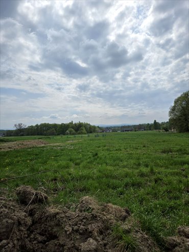 działka na sprzedaż 2200m2 działka Rączna