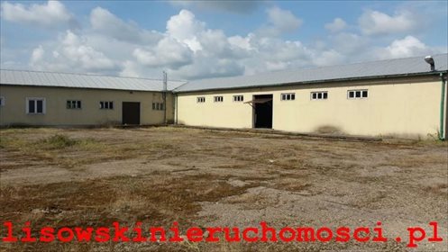 Magazyn na sprzedaż Bielawy 3 200m2 Foto 2