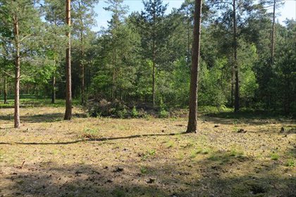 Działka rolna na sprzedaż Słupica 8 100m2 Foto 7