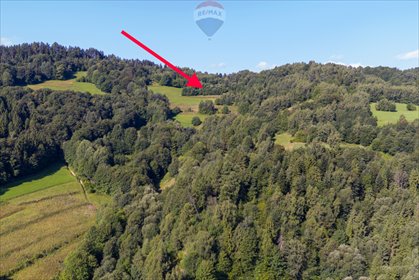 Działka 3707 m² z widokiem na Gorce i nasłonecznieniem działka Ochotnica Dolna