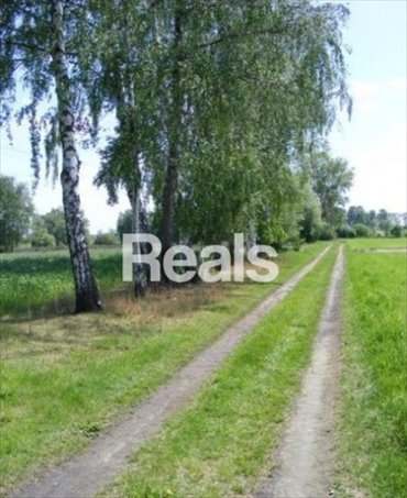 Teren inwestycyjny w okolicy węzła A2 Wiskitki działka Różanów