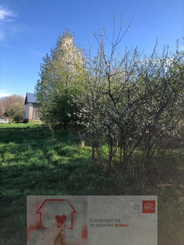 działka na sprzedaż 5200m2 działka Anielpol