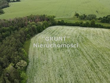 Działka inna na sprzedaż Nowy Dwór 3 000m2 Foto 5