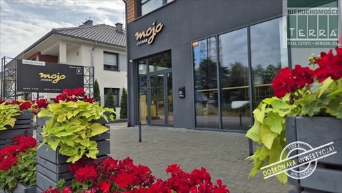 lokal użytkowy na sprzedaż 380m2 lokal użytkowy Zielona Góra