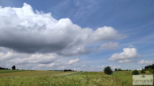 Działka rolna na sprzedaż Stanisławów 16 962m2 Foto 4