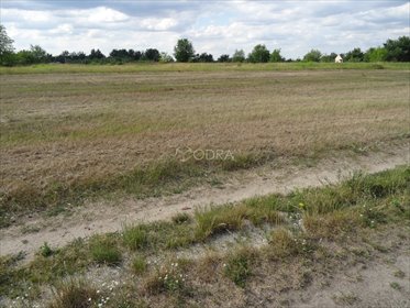 działka na sprzedaż 1141m2 działka Jelcz-Laskowice, Łęg