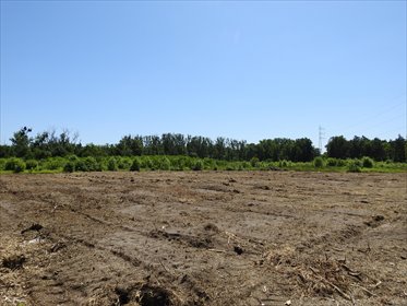 działka na sprzedaż 1508m2 działka Dobieszowice, Niebyła