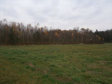 Działka budowlana na sprzedaż Piątkowiec 11 400m2 Foto 6