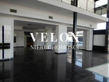 Inwestycja w Szczecinie: duża nieruchomość komercyjna lokal użytkowy Szczecin, Śródmieście, Gdańska