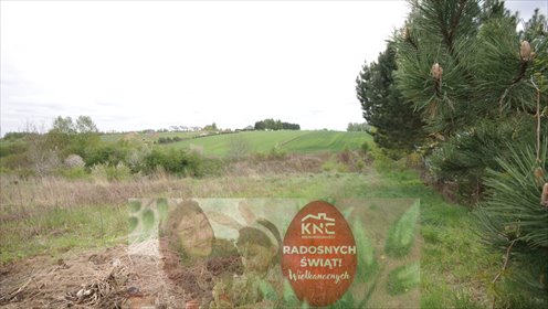 działka na sprzedaż 9622m2 działka Jakubowice Konińskie