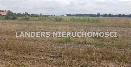 Działka inna na sprzedaż Charbice Dolne 8 000m2 Foto 4