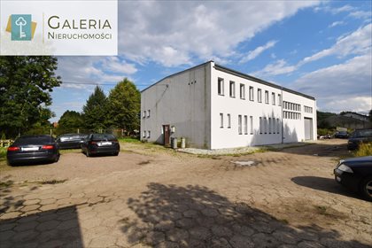 lokal użytkowy na sprzedaż 317m2 lokal użytkowy Markusy