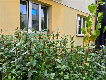Unikatowe 3-pokojowe mieszkanie + 2 kawalerki, garaż dom Kraków, Prądnik Biały, Prądnik Biały, Mariana Langiewicza