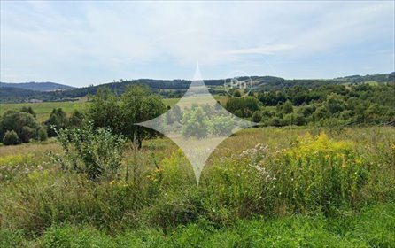 działka na sprzedaż 1224m2 działka Nowa Ruda, Drogosław