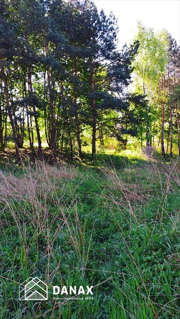 działka na sprzedaż 3100m2 działka Kraków, Zwierzyniec, Bielany