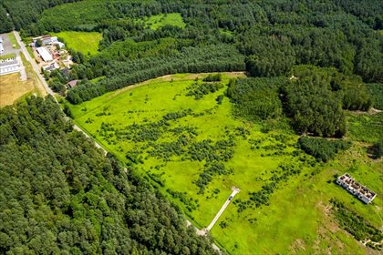 Działka inna na sprzedaż Smolarzyny 44 800m2 Foto 5