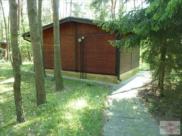Dom na sprzedaż Bechcice-Kolonia 20m2 Foto 3