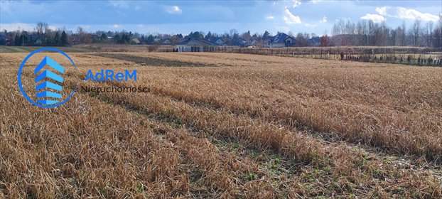 działka na sprzedaż 10700m2 działka Opacz