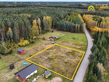 Działka 1930 m² w Korzennie z mediami i dużymi sosnami działka Korzenno