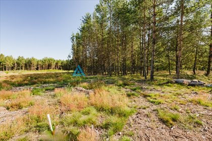 działka na sprzedaż 1007m2 działka Kowalewo, Smolna